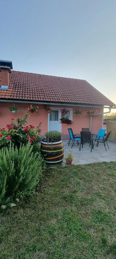 Kod Slaveka Apartment Kostanjevac Екстериор снимка