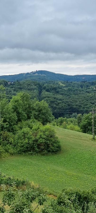 Kod Slaveka Apartment Kostanjevac Екстериор снимка